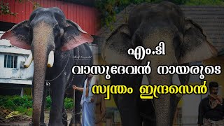 എം.ടി വാസുദേവന്‍ നായരുടെ സ്വന്തം  ഇന്ദ്രസെന്‍  |  CHANNEL MOB