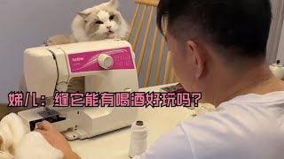 布偶猫陪老父亲大展缝纫好手艺，不料车翻的有点狠【猪娣儿是一只猫】