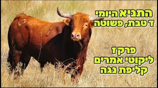 תניא יומי | ד טבת | שנה פשוטה | ליקוטי אמרים - פרק ז, קליפת נגה ומה היא כוללת, מגיש הרב ירון צבי