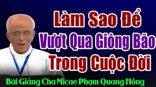 Làm Sao Để Vượt Qua Những Giông Bão Trong Cuộc Đời  - Bài giảng của Cha Phạm Quang Hồng