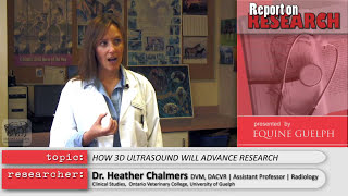 Roaring Research - Dr.  Heather Chalmers - Report on Research