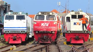 PASUKAN KERETA API SORE PADATI STASIUN KOTA MALANG !! Lokomotif Livery Spesial, Klakson Merdu CC 203