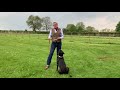 Walking your dog on the lead with Dogfather Graeme Hall and Hettie