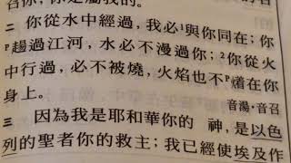 小羊愛慕父的話    2:89    天父領我 我深喜歡 蒙主引導心中平安 無論日夜動靜起坐 有主聖手時常領我