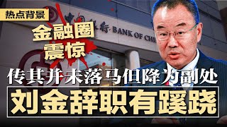 中国银行行长刘金辞职异常，传其并未落马但降为副处；习近平愿景遭遇挑战：地方政府明争暗斗，省市县乡层级复杂，讨价还价拒绝合作；AI是科技进步还是人类灾难？ | #热点背景20240827