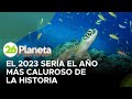 El 2023 sería el año más caluroso de la historia: peligro para la vida en los océanos