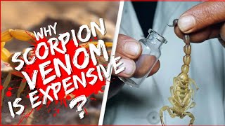 Why scorpion venom is so expensive? (2023)