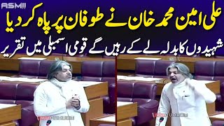 PTI Leader Ali Muhammad Khan Furious Speech in National Assembly