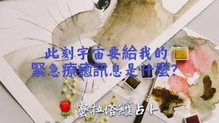 【蜜拉塔羅占卜🌈】此時此刻宇宙要給予你的緊急訊息是什麼？