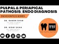 Pulpal & Periapical Diagnosis | Endodontics Diagnostic Test | Dental Education