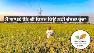 ਮੇਰੇ ਖੇਤ ਕਿਹੜਾ ਝੋਨਾ ਲੱਗਿਆ ਹੈ•Which paddy variety in my field