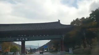 문경새재 🍂 단풍🍁드라이브