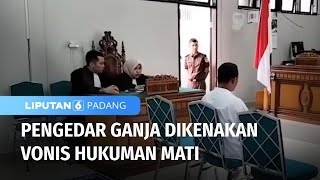 Empat Terdakwa Edarkan 141 Kg Ganja, Dikenakan Vonis Hukuman Mati |  Liputan 6 Padang