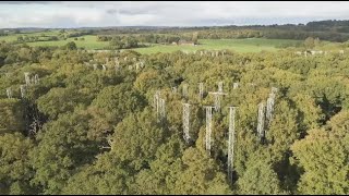 'We need to do our bit': Inside the Stafford forest helping scientists tackle the climate crisis