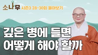 깊은 병에 들면 어떻게 해야 할까 [광우스님의 소나무 시즌3 몰아보기]