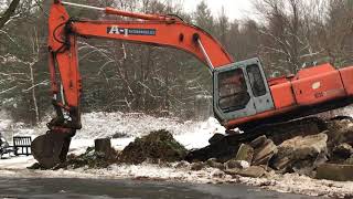 Excavator vs 20” Oak Tree Stump