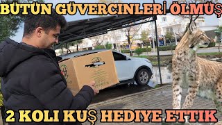 Bütün Güvercinleri Ölen Arkadaşa 2 Koli Güvercin Hediye Ettik Çok Mutlu Oldu