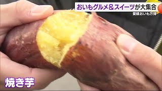 寒い日にはホッカホカの焼き芋！おいも万博松山市で四国初上陸　チーズにはちみつが盛りだくさん【愛媛】 (24/12/06 18:43)