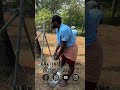 site at മാഞ്ഞാലി അങ്കമാലി tata wiron chain link fence with tata structura gi pipe shortsvideo