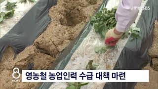 [JTV 8 뉴스]  영농철 농업인력 수급 대책 마련