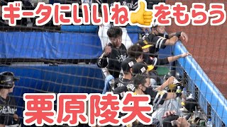 柳田悠岐にいいね👍をもらう栗原陵矢【ホークス】