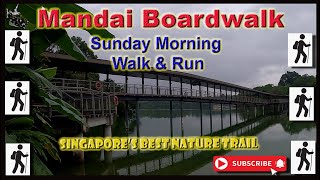 The New Mandai Boardwalk - 11 Minute Video - Timeline