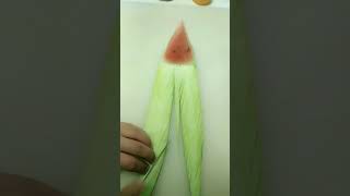 西瓜切拉花教程 Watermelon peel tutorial