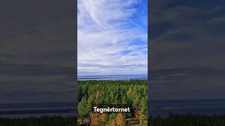 Tegnértornet – Utforska det unika utsiktstornet i Småland!