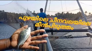 പുഴയിലെ ചീനവല യിലെ മീൻപിടുത്തം🐟🦐🦀