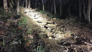 TAKE 2 HARDEST TRACK IN WOMBAT STATE FORREST NEAR BLACKWOOD - GETS DARK TRYING