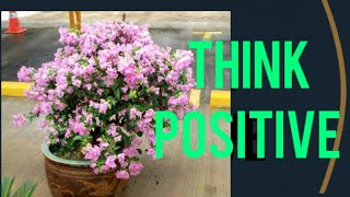 Think positive!  நேர்மறை எண்ணங்களை மேம்படுத்துங்கள்!