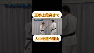 正拳上段突きで人中を狙う理由 【本編動画】正拳上段突き：武術の突きと格闘技のパンチの違い  #空手 #karate #shorts