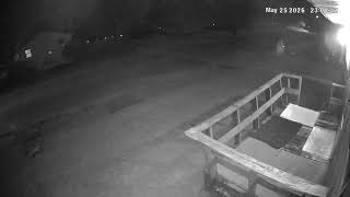 Caught a couple of Foxes just cruising through our yard the other night. USA_Sammy__'s home camera.