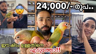 കടയിലെ മുഴുവൻ കിളിനേം മേടിച്ചു!!!| Surprise Gift to my Family | Bought all the tamed birds