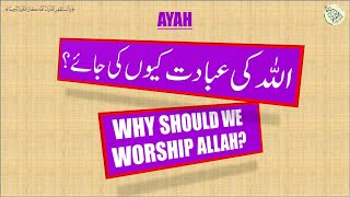 Why should one worship Allah?- (Tafseer Surah Al-Hajj, Ayah 71 in Urdu, Friday 14/08/2020)