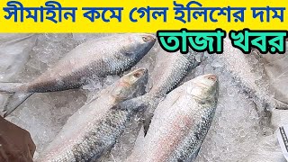 সীমাহীন কমে গেল ইলিশ মাছের দাম। নদীর মাছের দাম বেশি। Md.Sugarvlog Everything ||