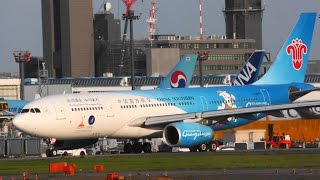 ✈✈ 中国南方航空 特別塗装機 Airbus A330 Take off NaritaRWY16R!成田空港 さくらの山