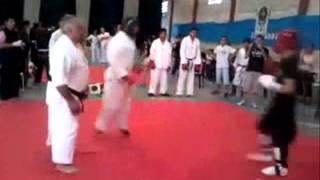 Choy lee fut vs Taekwondo