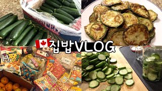 Shopping for large vegetables and cooking, Snack Haul 🇨🇦Vlog