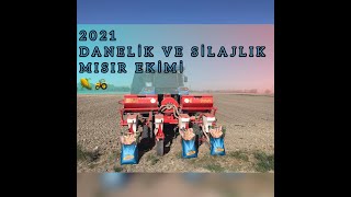 2021 DANELİK VE SİLAJLIK MISIR EKİMİ 🌽