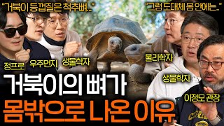 거북이는 어쩌다 껍데기를 갖게 된 걸까? (맨살이었던 옛날 거북이..) | 과학을 보다 EP.106