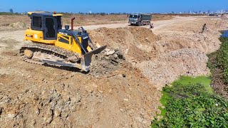 Great Action !! SHANTUI Bulldozer & 25Ton Dump Trucks Filling Soil On a Big Lake