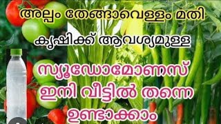 @krishi#സ്യൂഡോമോണാസ് ഇനി വീട്ടിൽ തന്നെ ഉണ്ടാക്കാം അല്പം തേങ്ങാവെള്ളം മതി 👍🏻👍🏻#agriculturetips#ammoos