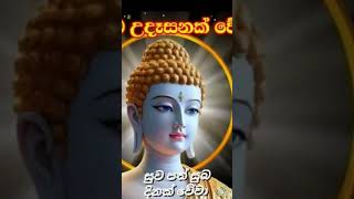 🙏🙏🙏🌼🌼🌼දැකීමෙන් පවා සිත පිරිසිඳු වෙන මහා කාරුණිකයන් වහන්සේඅති දුර්ලබ බුද්ධෝත්පාද කාලය මගහැර ගන්න එපා🙏