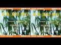 妙蓮華ck 4524 念佛靜心曲 慈憨.蓮胎.慚行 02.mp4