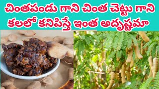 చింతపండు కలలో కనిపిస్తే|Chinthapandu kalalo vasthe|Chintha chettu kalalo vasthe||Tamrind tree dream