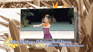 全日本フラ選手権14 カヒコ 全日本フラ選手権14 カヒコ