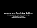 Landmarking Tough Lap Gallbags