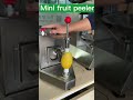 Desktop mango peeler for shops