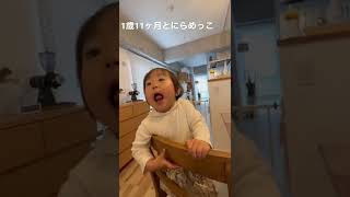 1歳11ヶ月とにらめっこ。